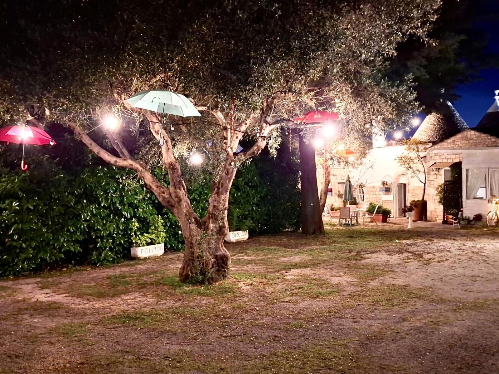 Mirella Charming Bed & Breakfast Alberobello Bagian luar foto