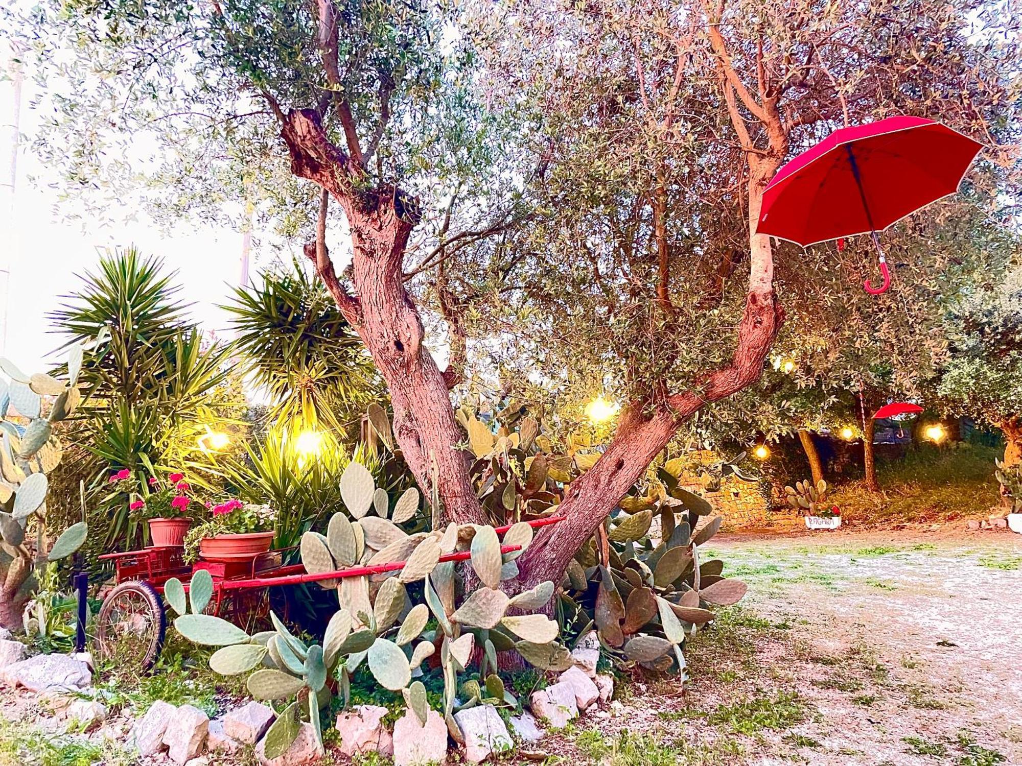 Mirella Charming Bed & Breakfast Alberobello Bagian luar foto